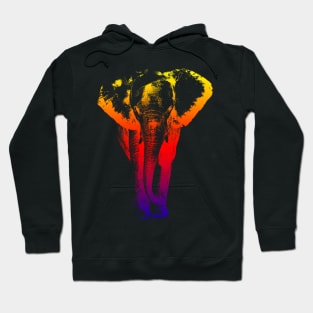 colored elephant Hoodie